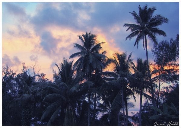 Artistic colour photo print of silhouettes of palm trees at dusk in Maui, Hawaii.